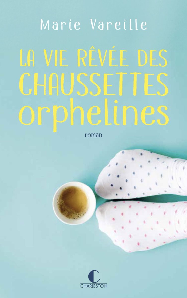 La vie rêvée des chaussettes orphelines book cover
