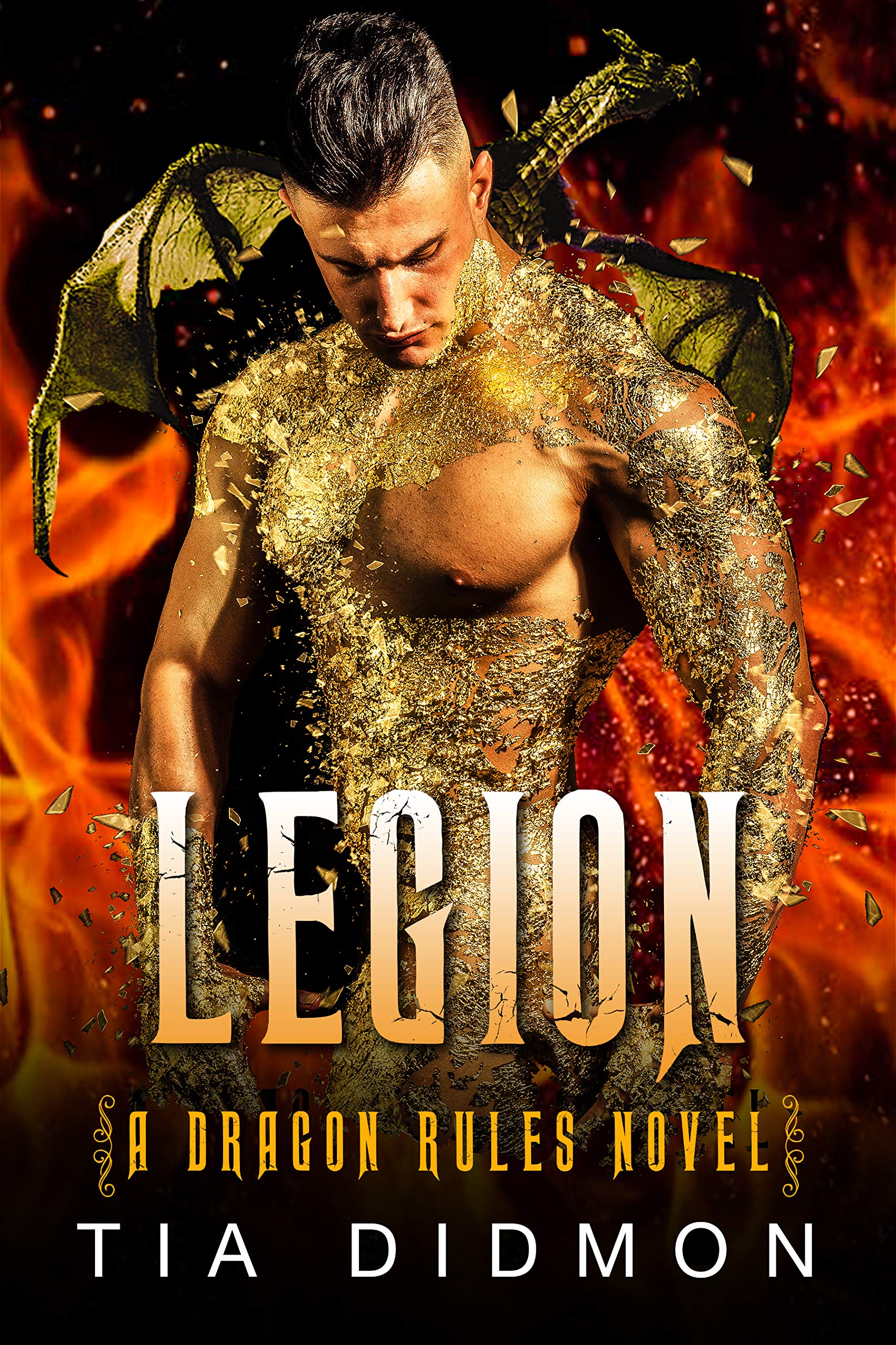 Dragon Rules book cover 1