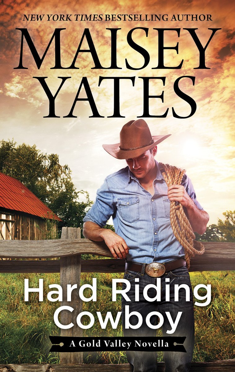 Hard Riding Cowboy book cover