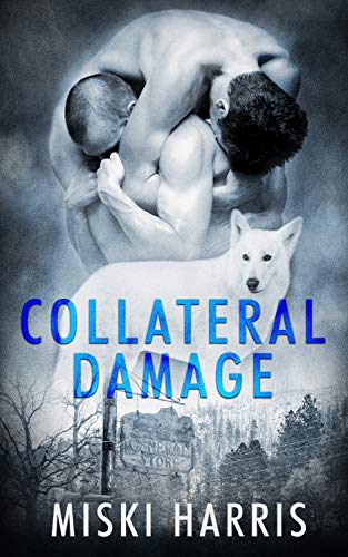 Don't Ask, Don't Tell book cover 2