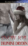Snow Job book cover