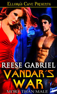 Vandar's War book cover