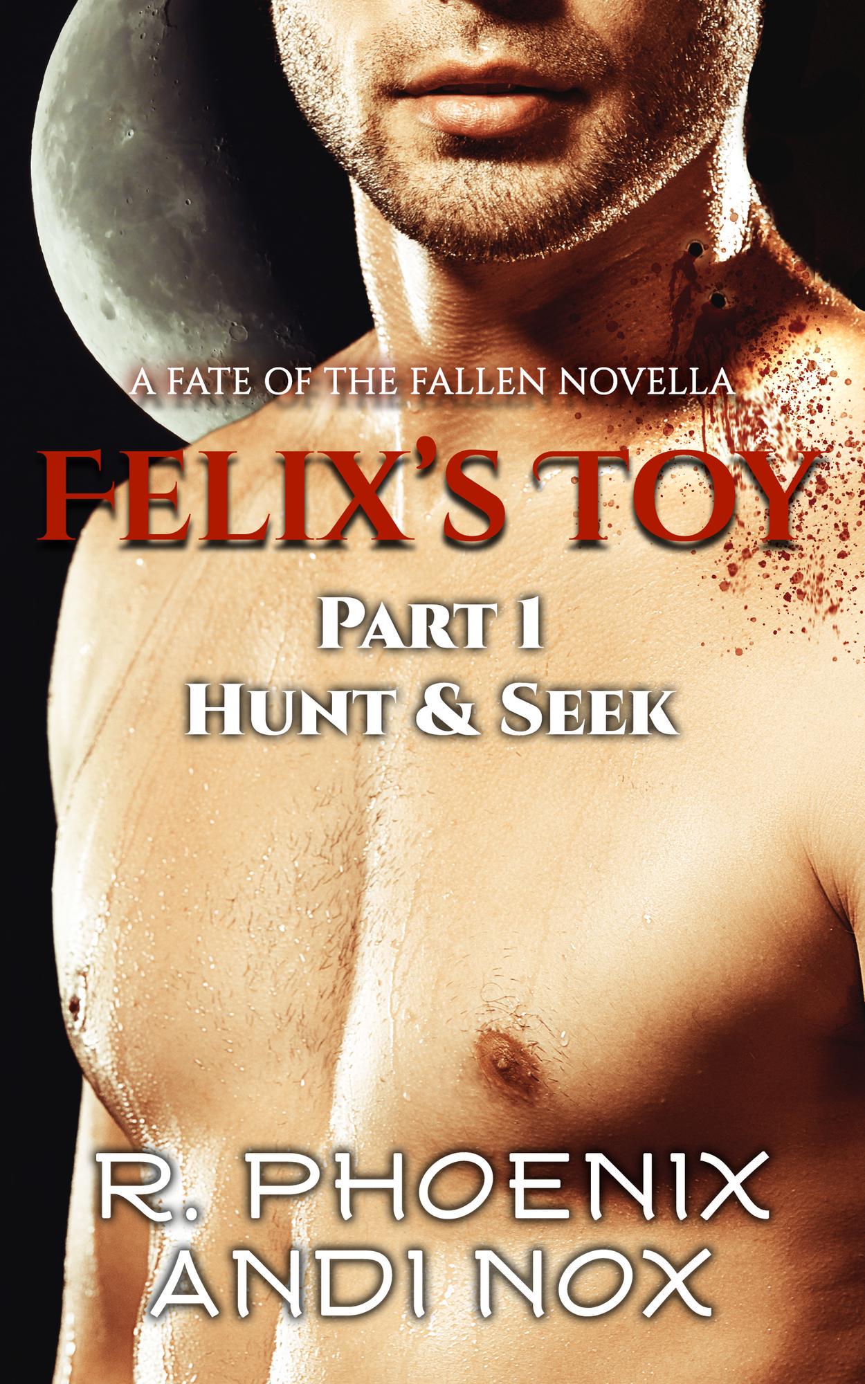 Felix's Toy book cover 1