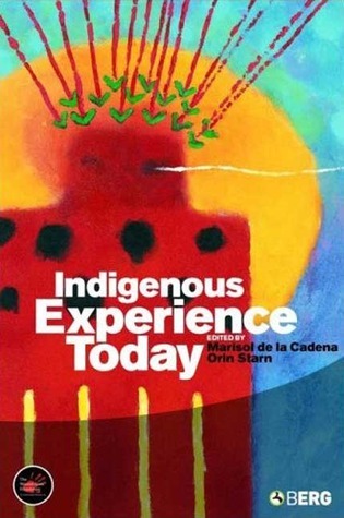 Indigenous Experience Today book cover