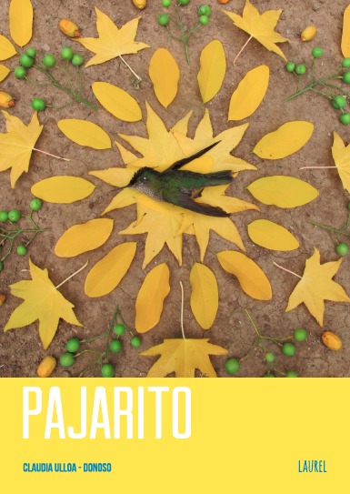 Pajarito book cover