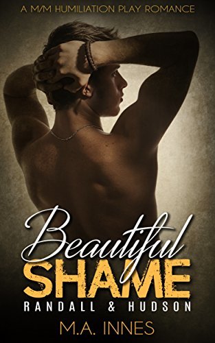 Beautiful Shame book cover 2