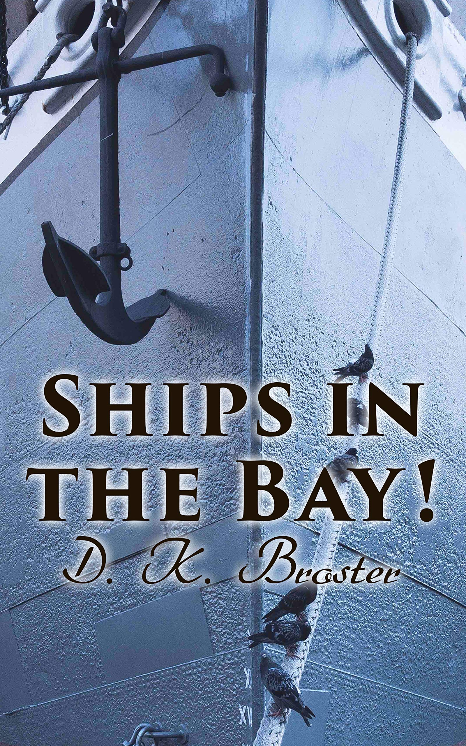 Ships in the Bay! book cover