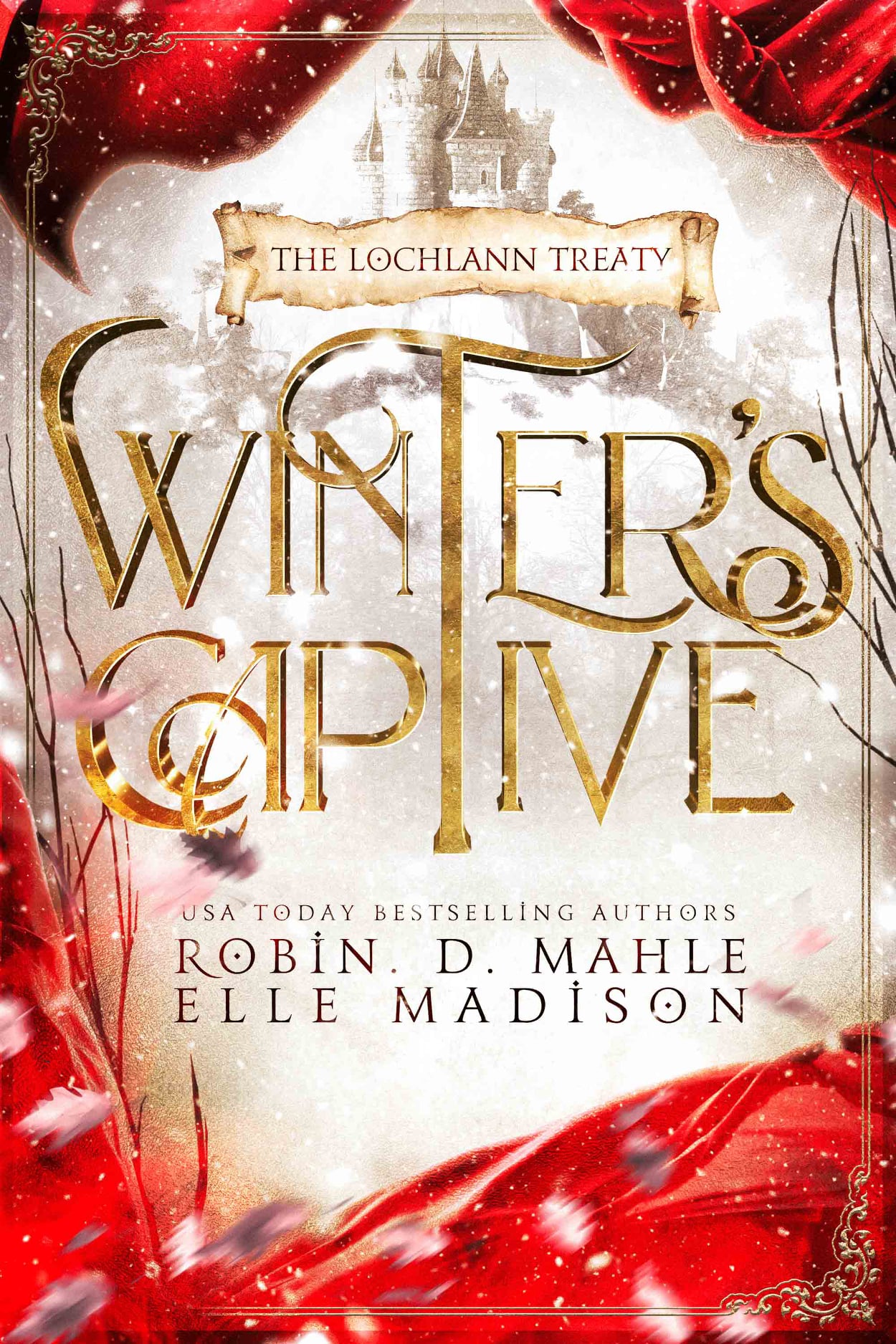The Lochlann Treaty book cover 1