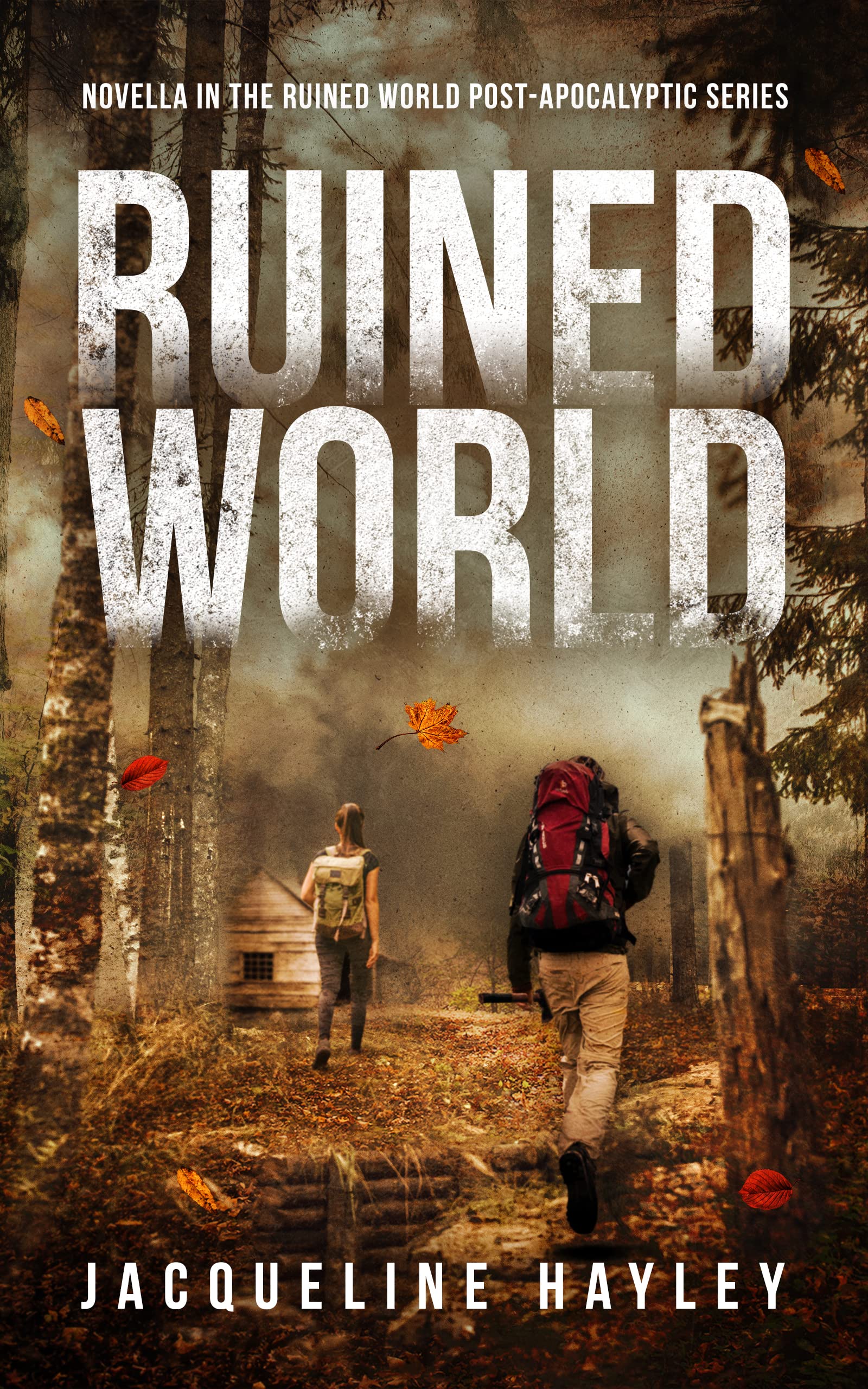 Ruined World book cover