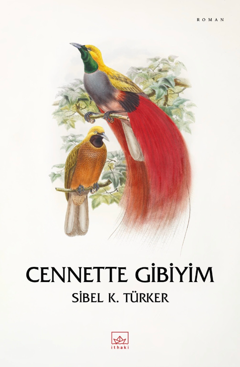 Cennette Gibiyim book cover