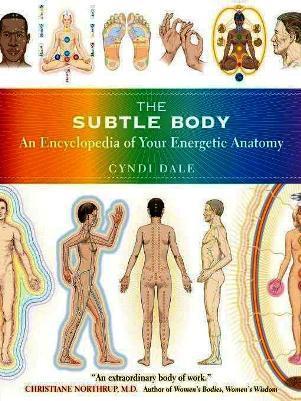 The Subtle Body book cover