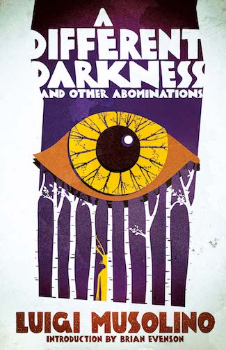 A Different Darkness and Other Abominations book cover