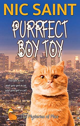 Purrfect Boy Toy book cover