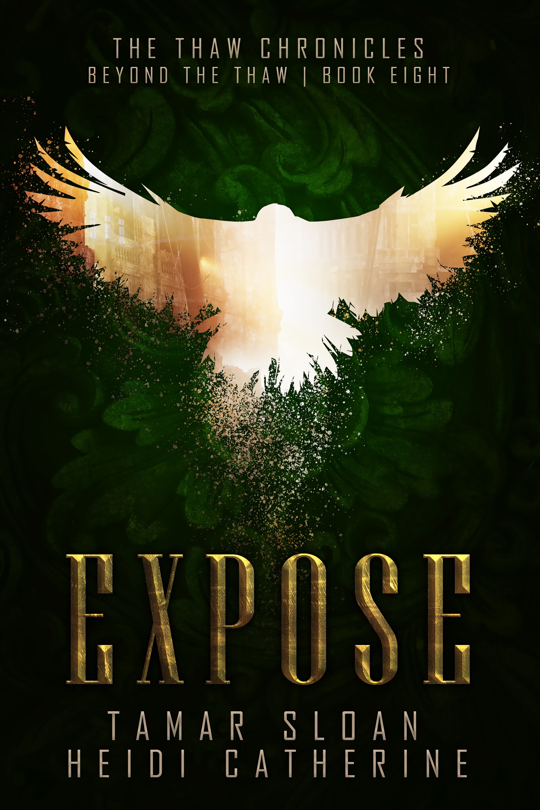 Expose book cover