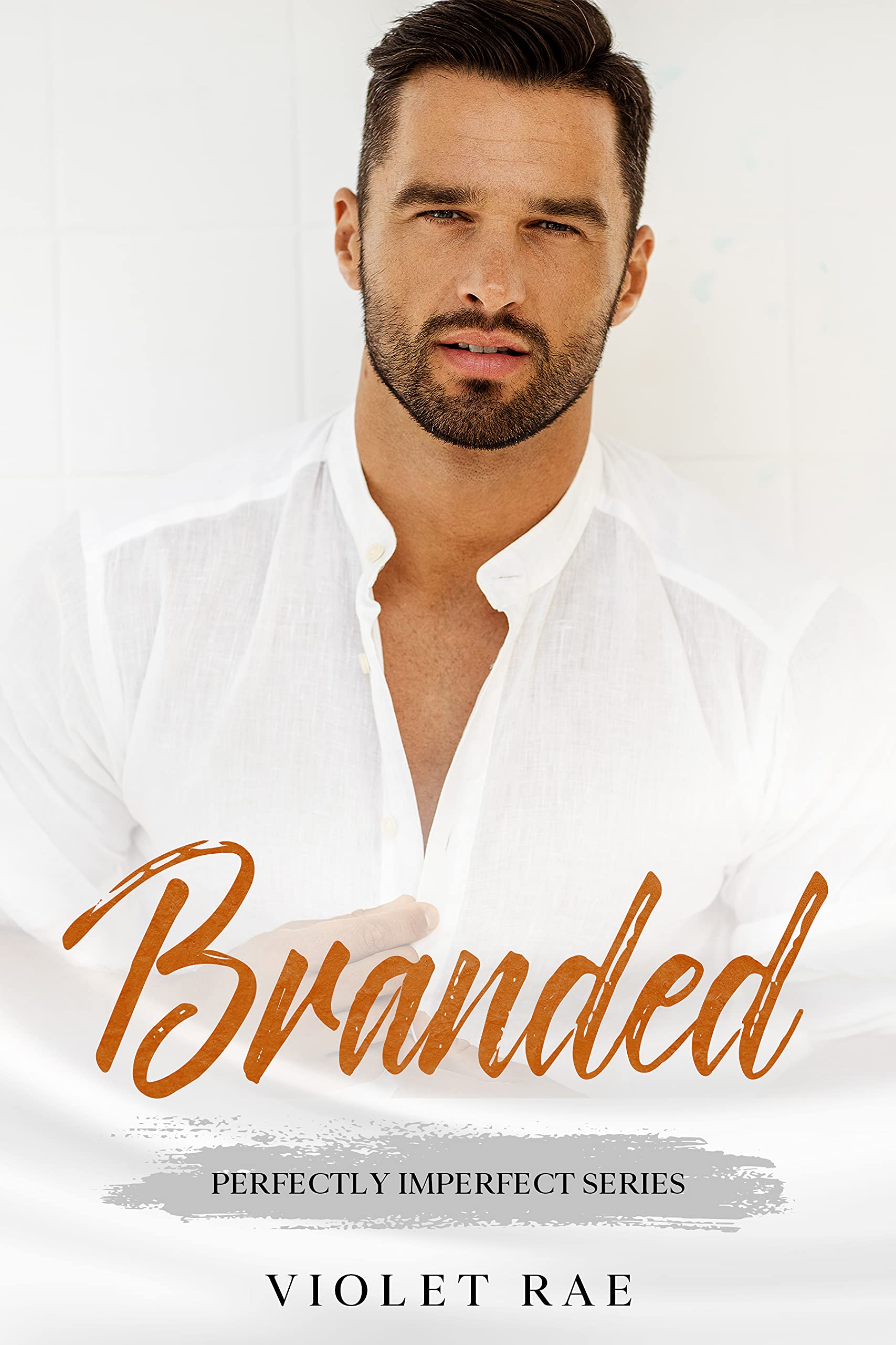 Silver Springs book cover 2