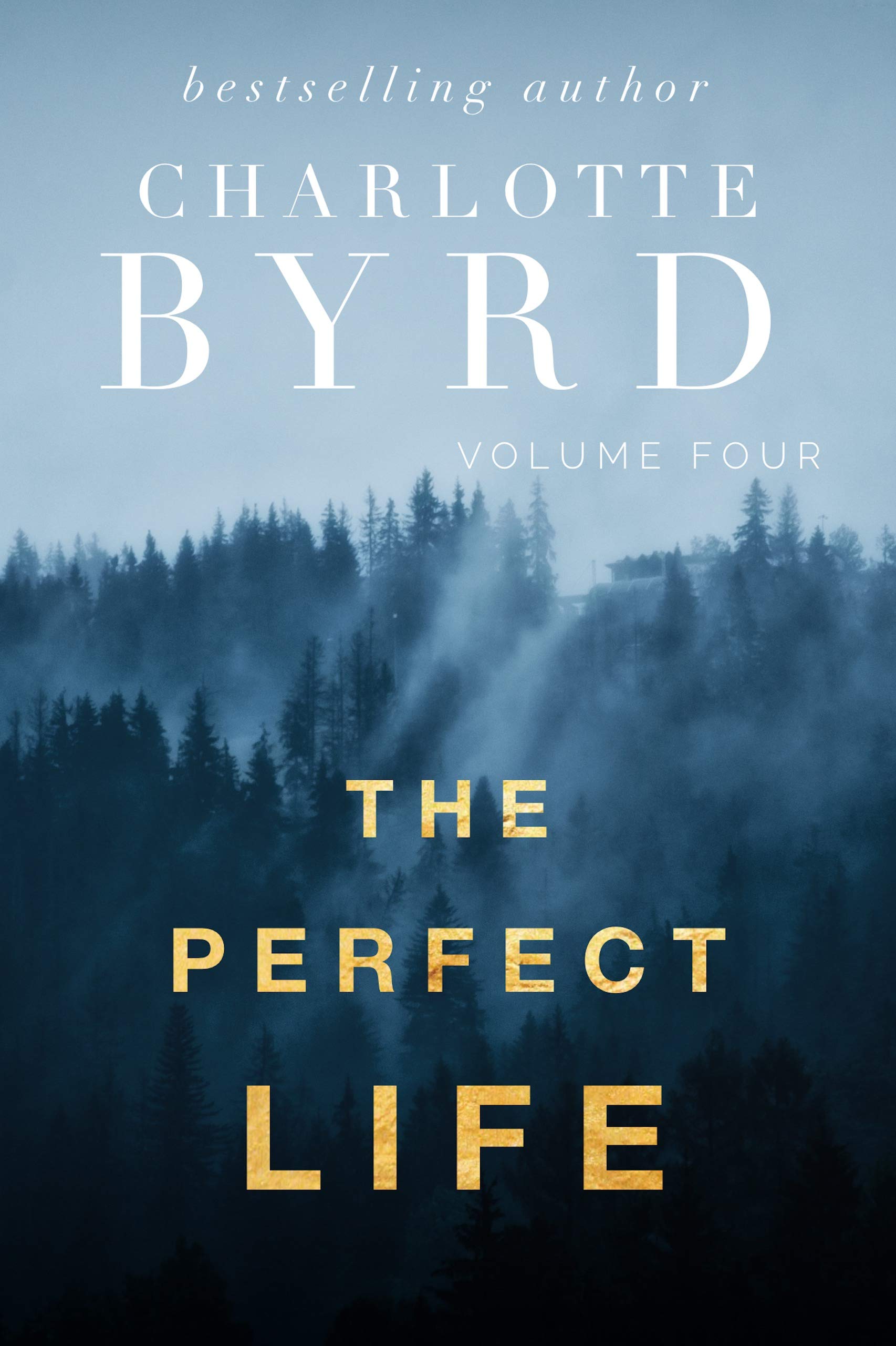 The Perfect Life book cover