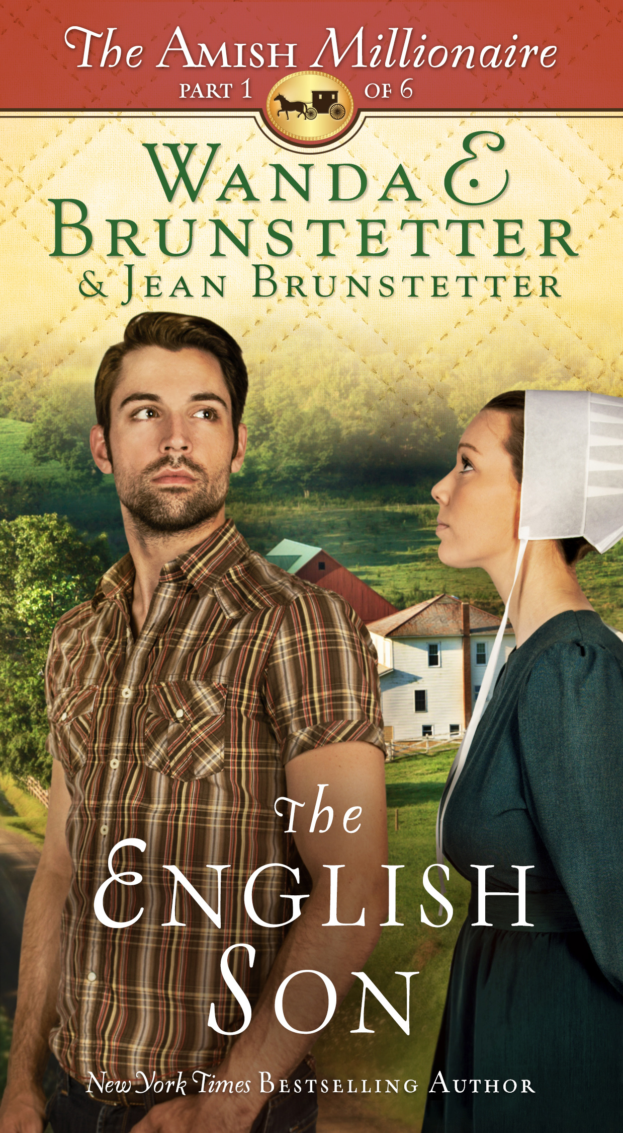 The Amish Millionaire book cover 1