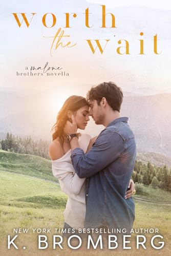 Worth the Wait book cover