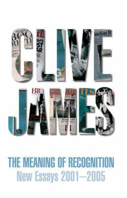 The Meaning of Recognition book cover