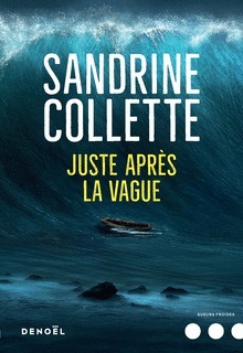Juste après la vague book cover