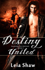 Shadows of Destiny book cover 2