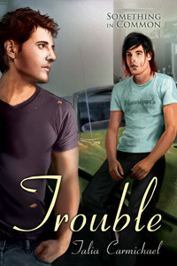 Trouble book cover