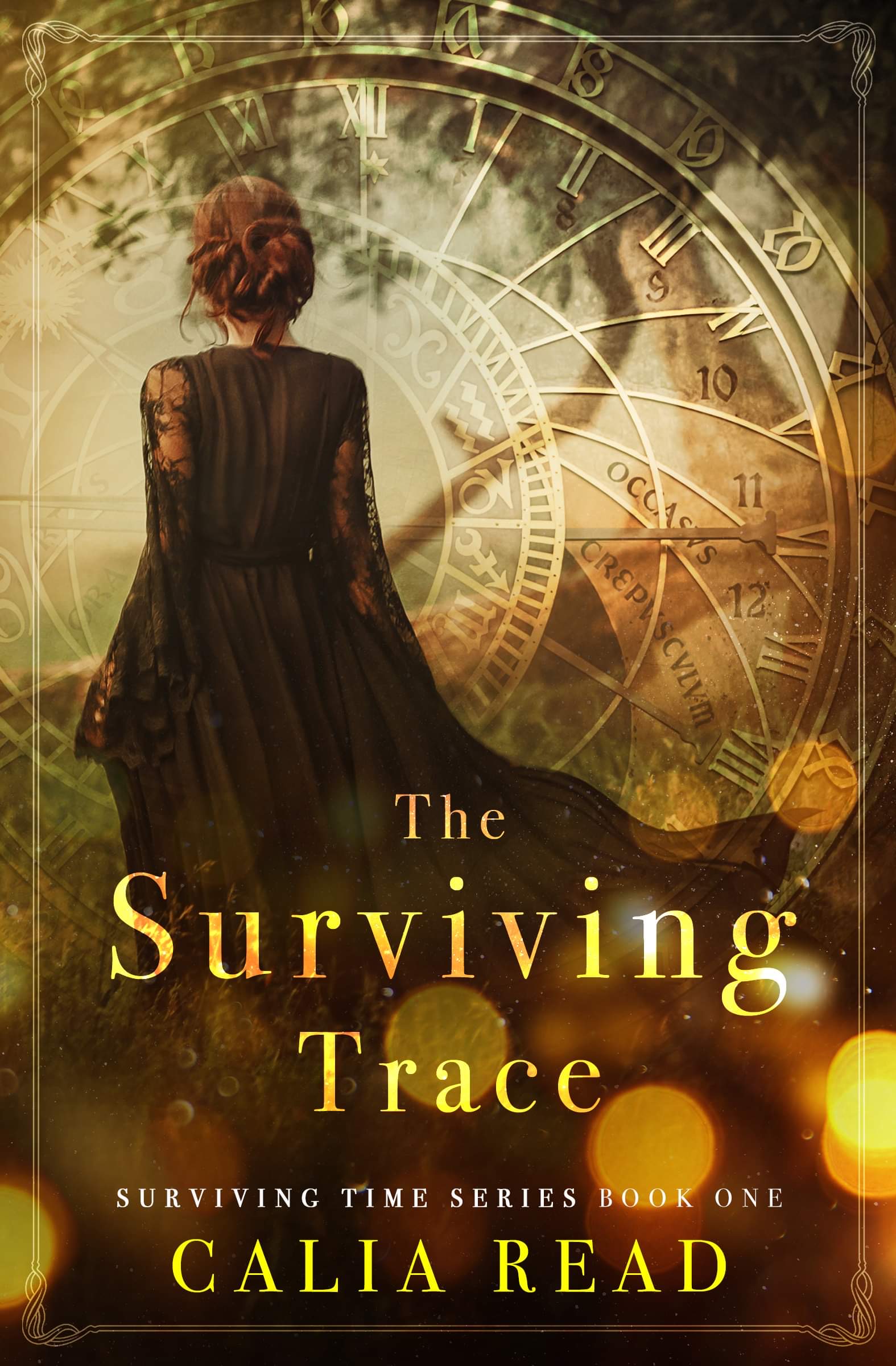 Surviving Time book cover 1