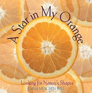 Star in My Orange book cover