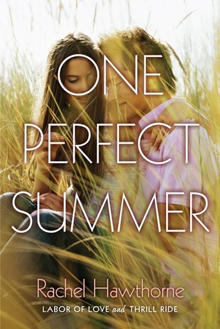 One Perfect Summer book cover