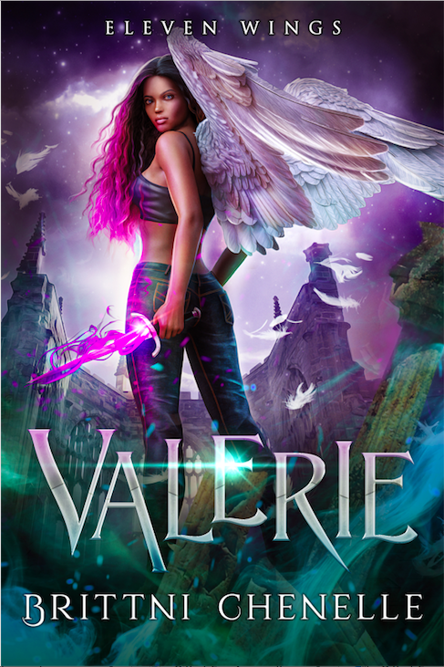 Eleven Wings book cover 1