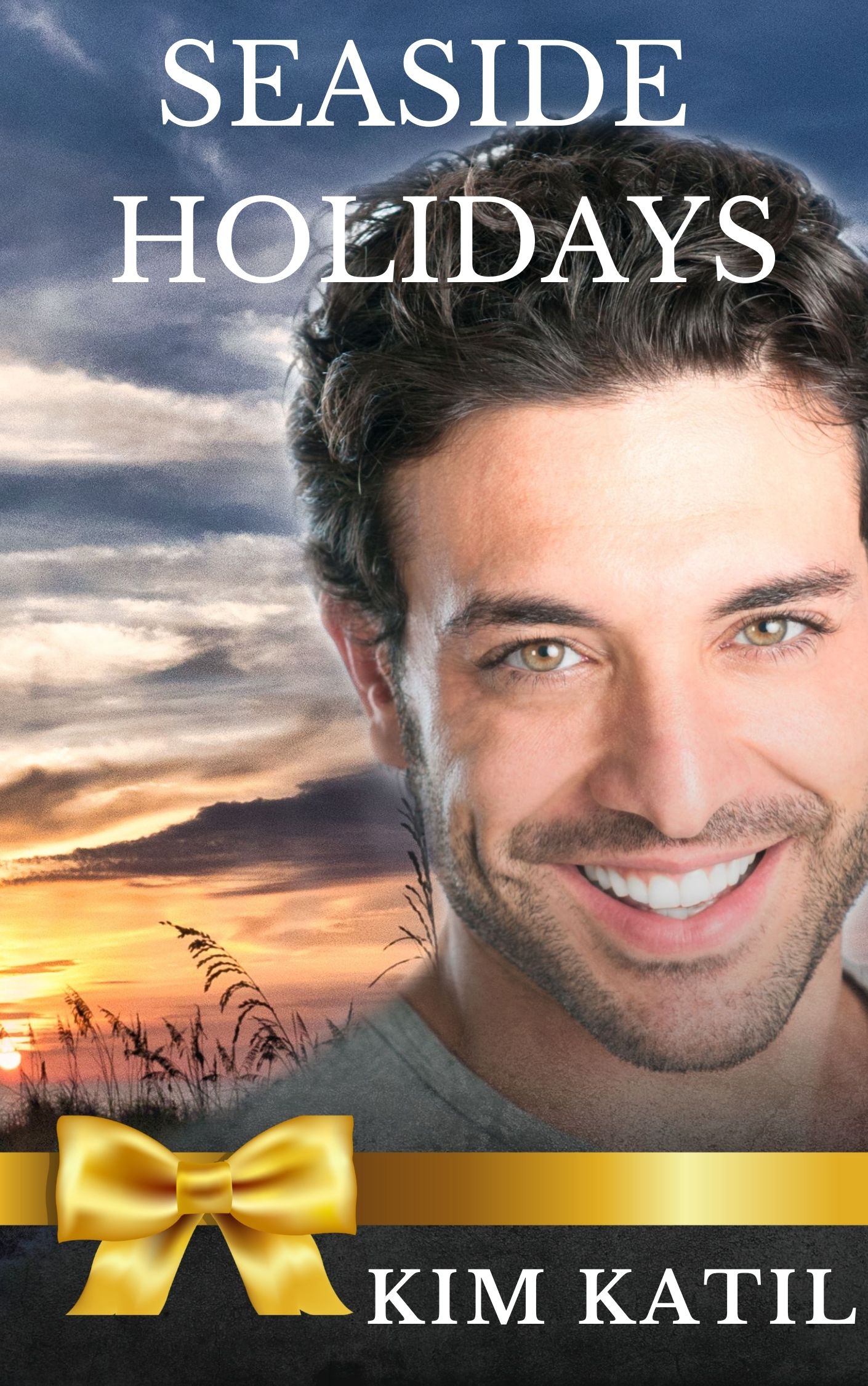 Seaside Holidays book cover