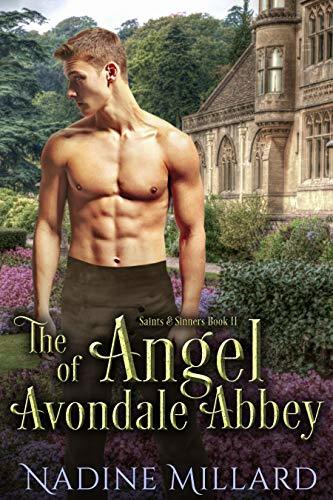 The Angel of Avondale Abbey book cover