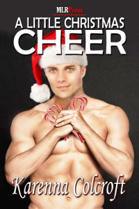 MLRPress Holiday 2012 Release book cover 3