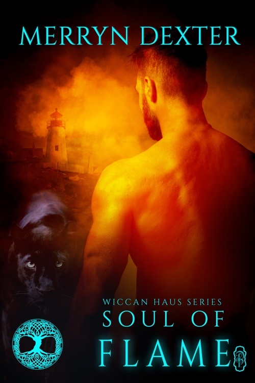 Soul of Flame book cover