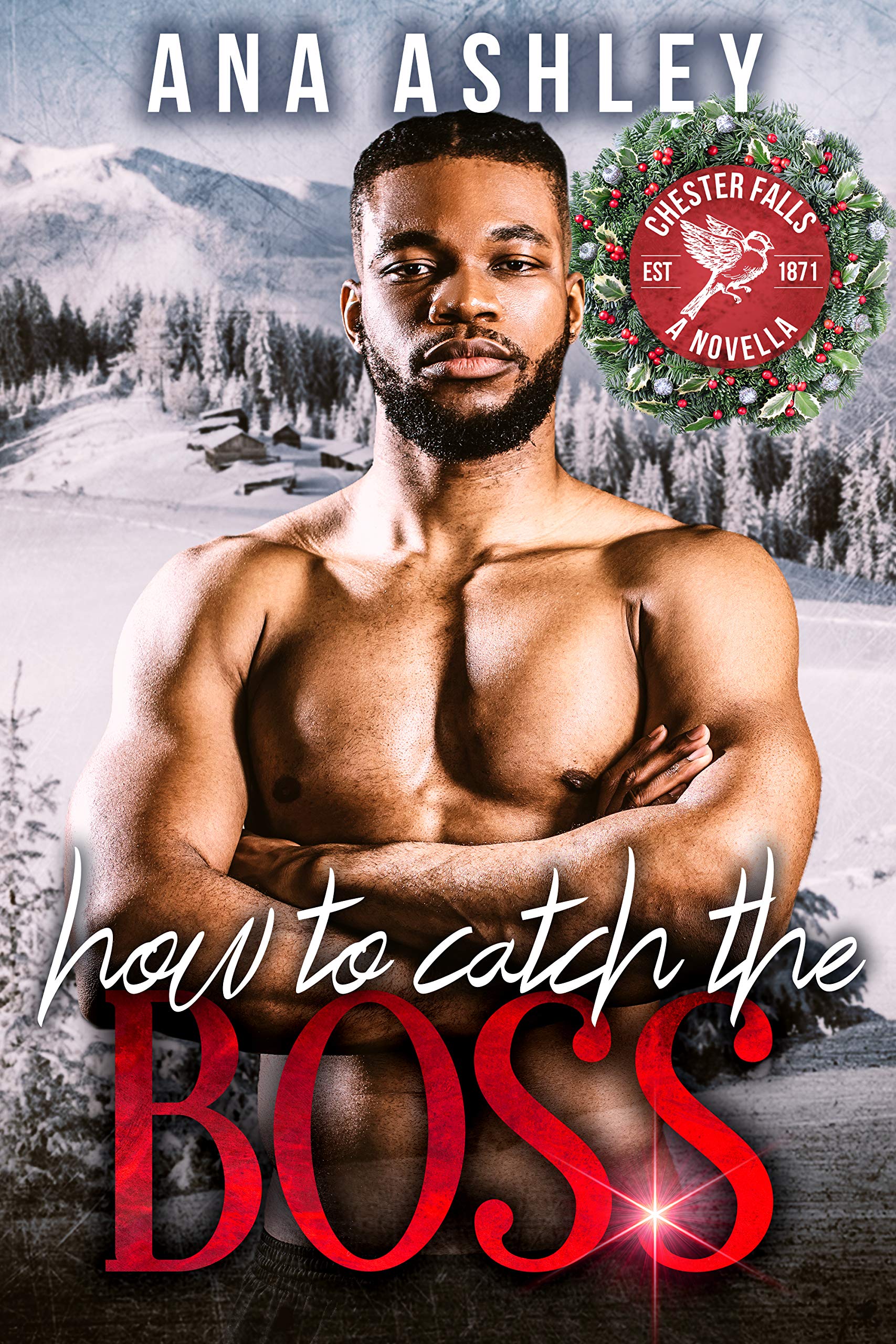 How to Catch the Boss book cover