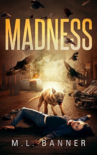 Madness book cover