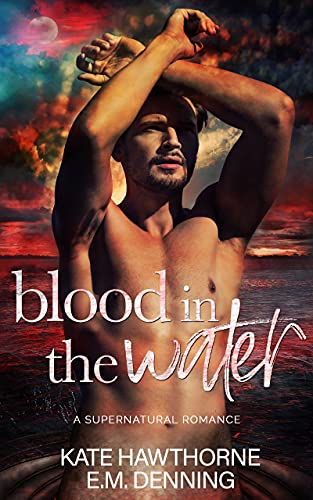 Blood in the Water book cover