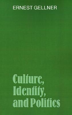 Culture, Identity, and Politics book cover