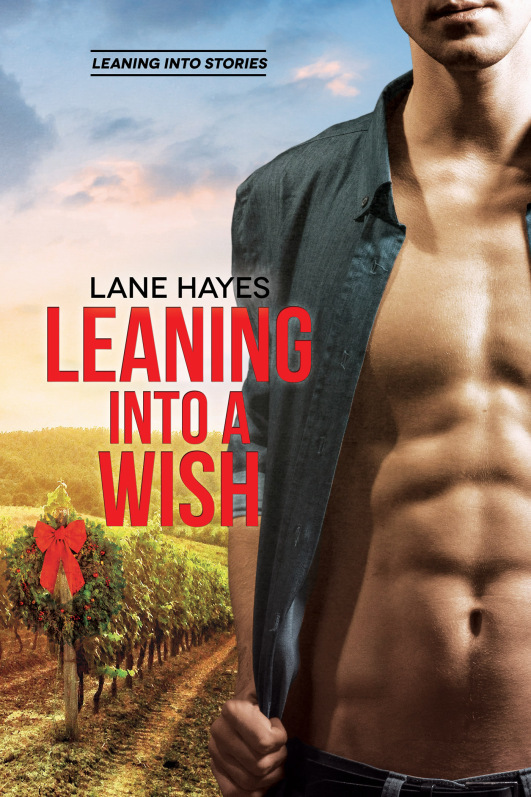 Leaning Into A Wish book cover