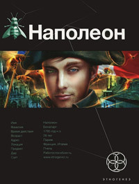 Этногенез. Наполеон book cover 1