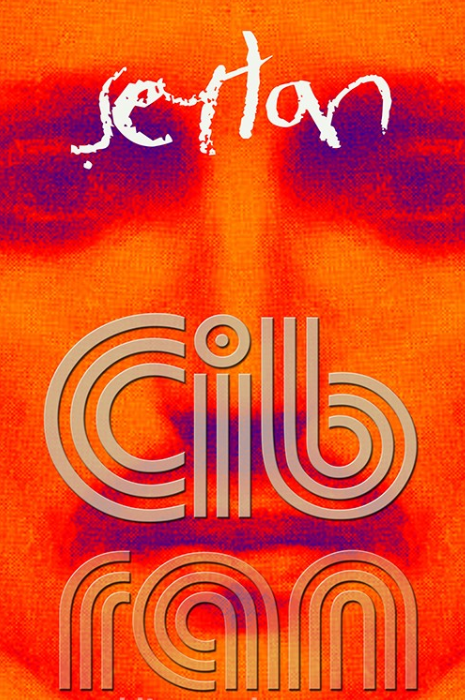 Şeytan book cover