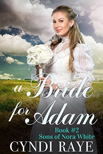 Sons of Nora White book cover 2