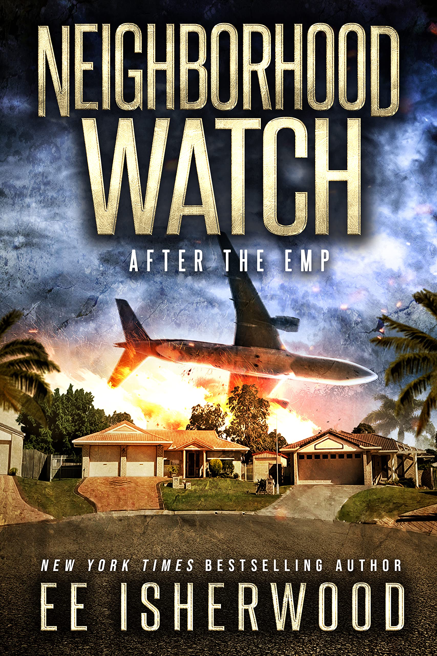Neighborhood Watch book cover 1