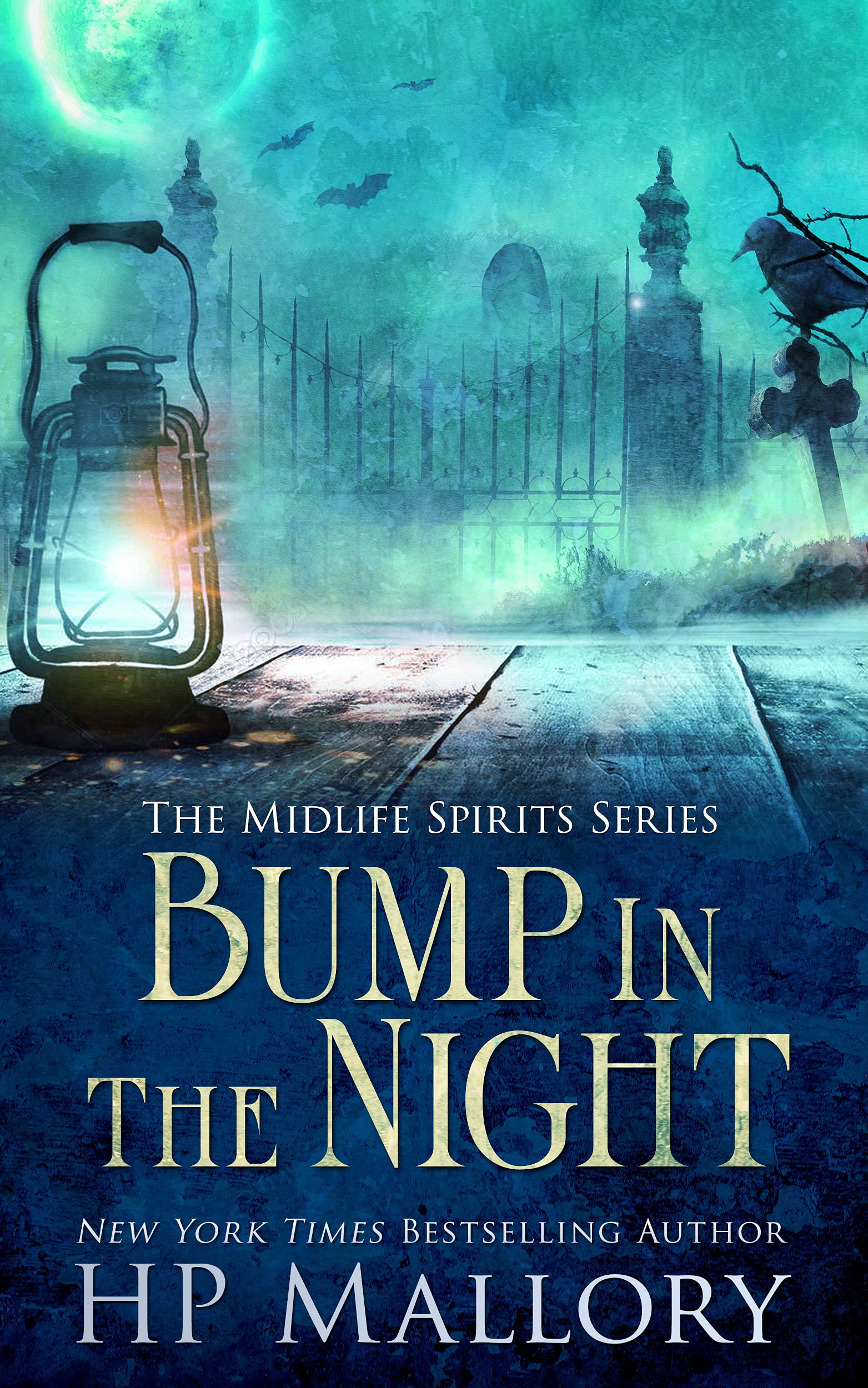 Bump in the Night book cover
