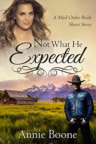 Mail Order Brides book cover 1