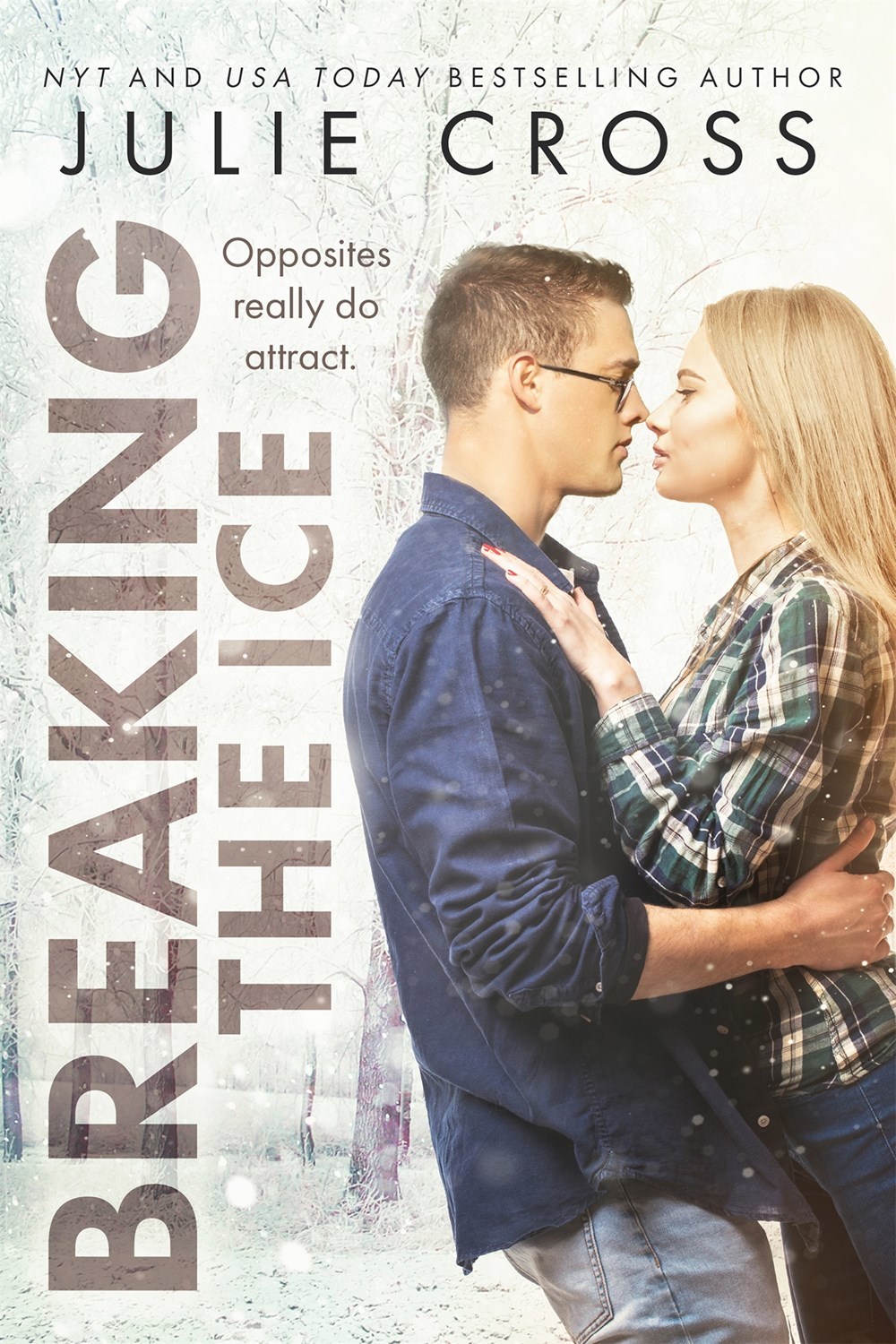 Juniper Falls book cover 2