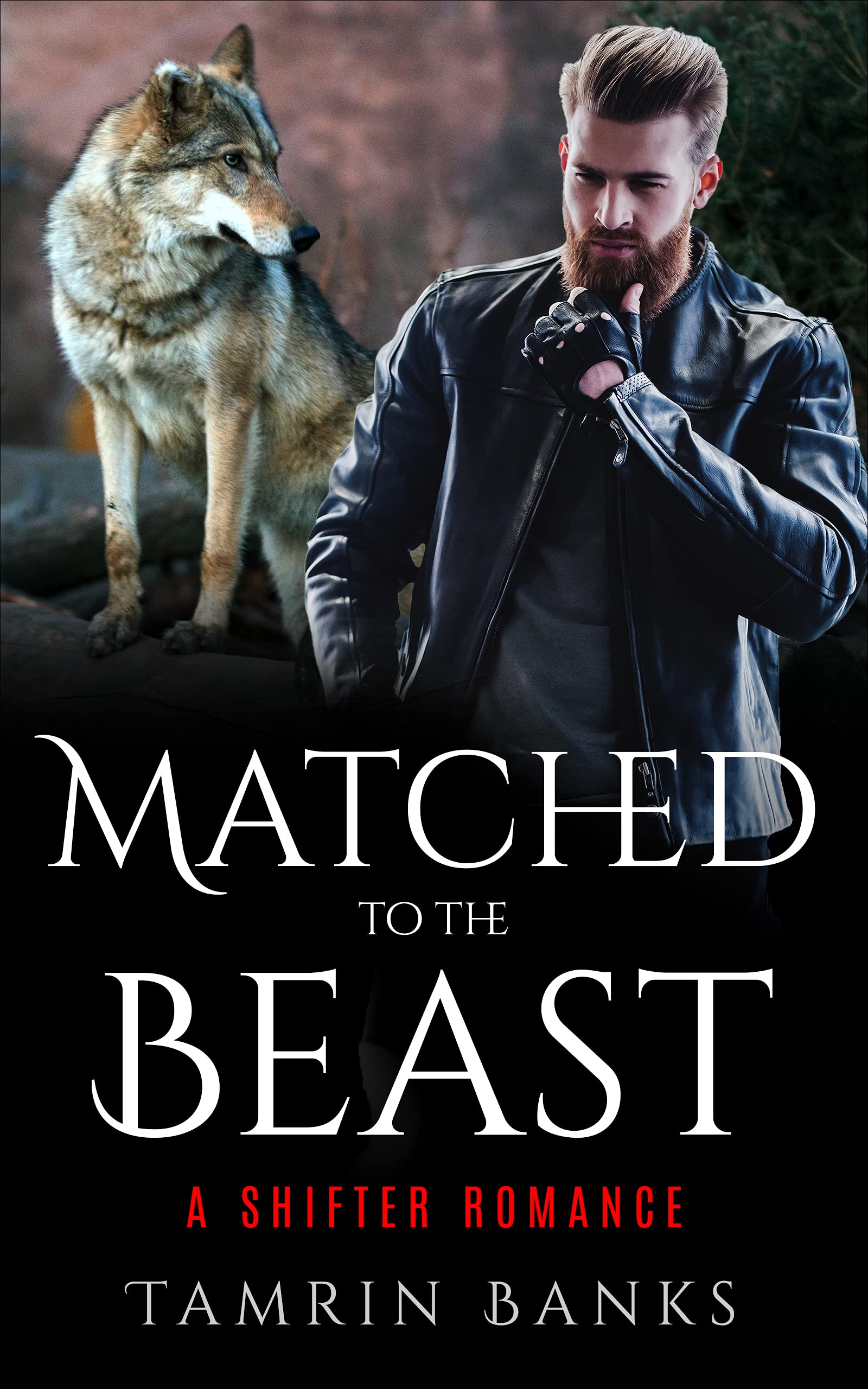 Matched to the Beast book cover