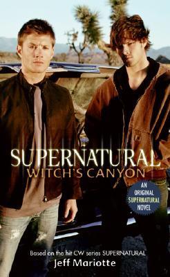 Supernatural book cover 2