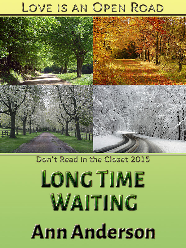 Long Time Waiting book cover