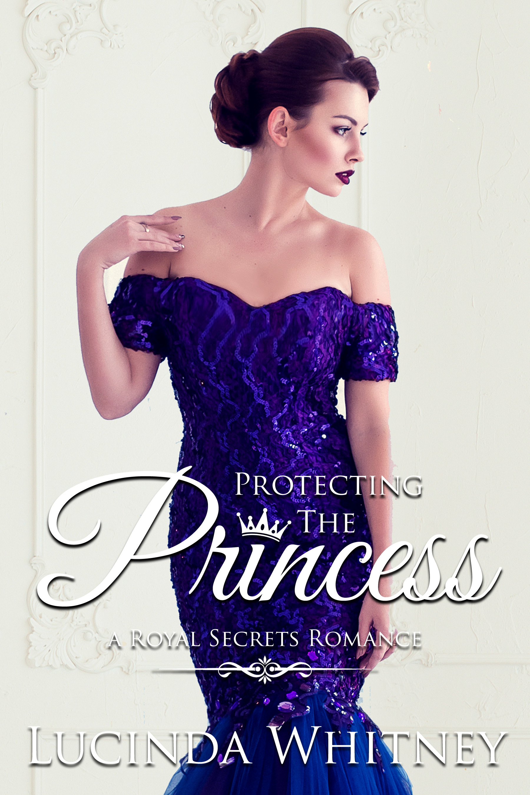 Protecting The Princess book cover